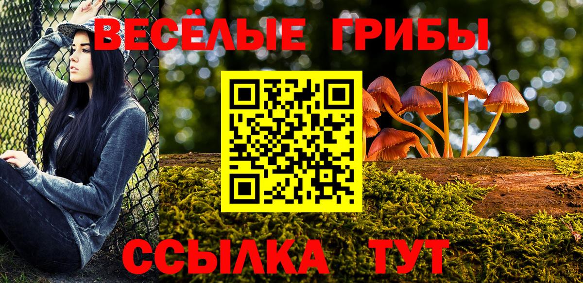 Галлюциногенные грибы ЛСД  Вход с VPN  Галлюциногенные грибы GOLDEN TEACHER  Ачхой-Мартан 