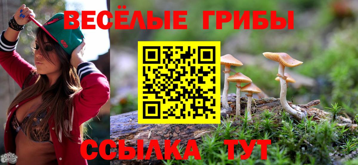 Псилоцибиновые грибы MAGIC MUSHROOMS Ачхой-Мартан