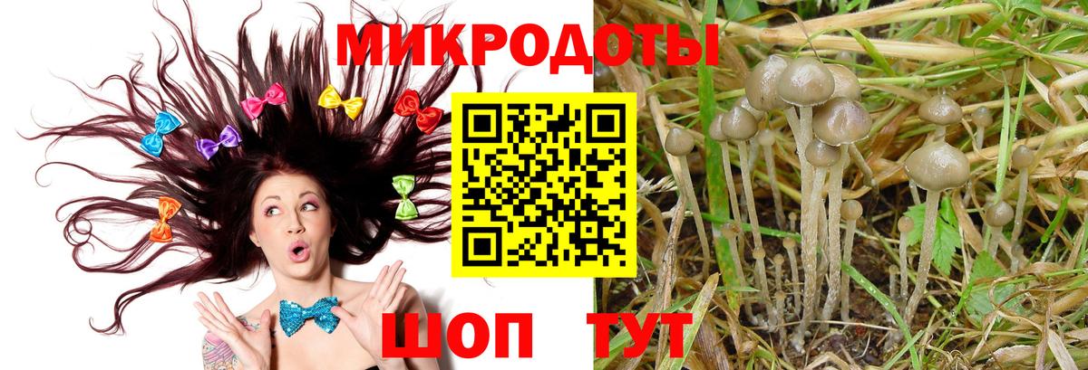 Галлюциногенные грибы мицелий Ачхой-Мартан